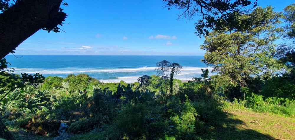 Residential vacant land for sale in Port Edward - 1PD1699196