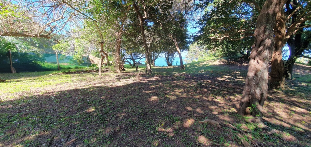Residential vacant land for sale in Port Edward - 1PD1699196