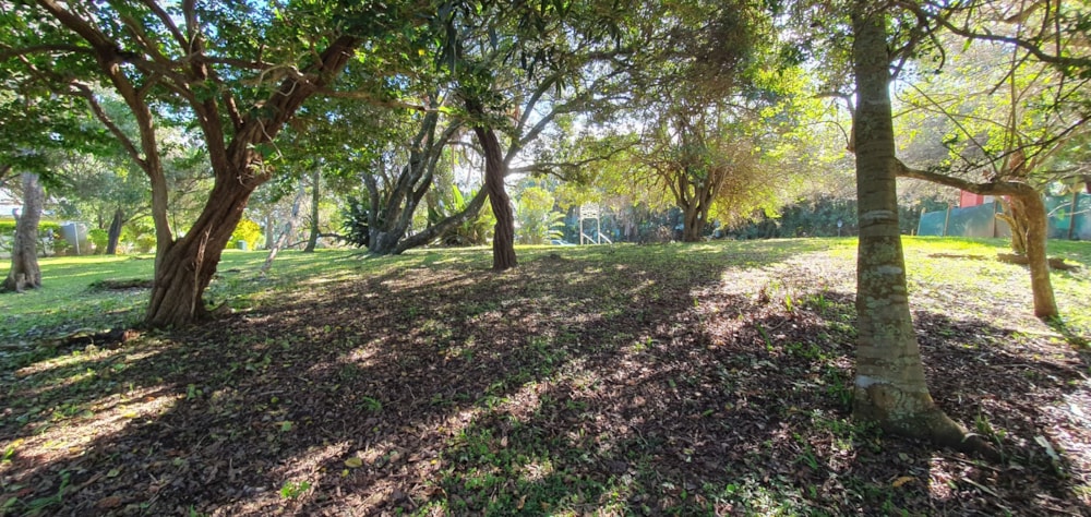 Residential vacant land for sale in Port Edward - 1PD1699196