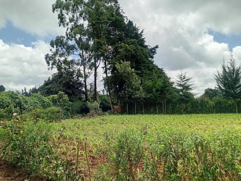 Vacant land sold in Nairobi, Kenya - 3KE1699231 Vacant land sold in Nairobi, Kenya - 3KE1699231