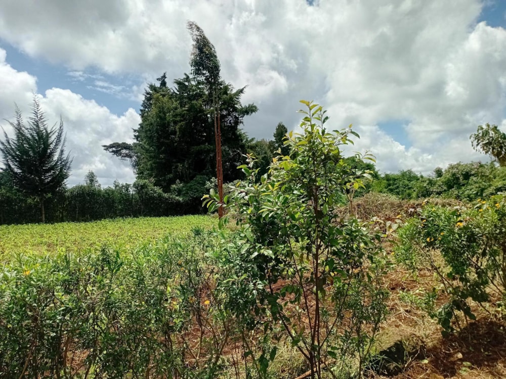 Vacant land sold in Nairobi, Kenya - 3KE1699231 Vacant land sold in Nairobi, Kenya - 3KE1699231