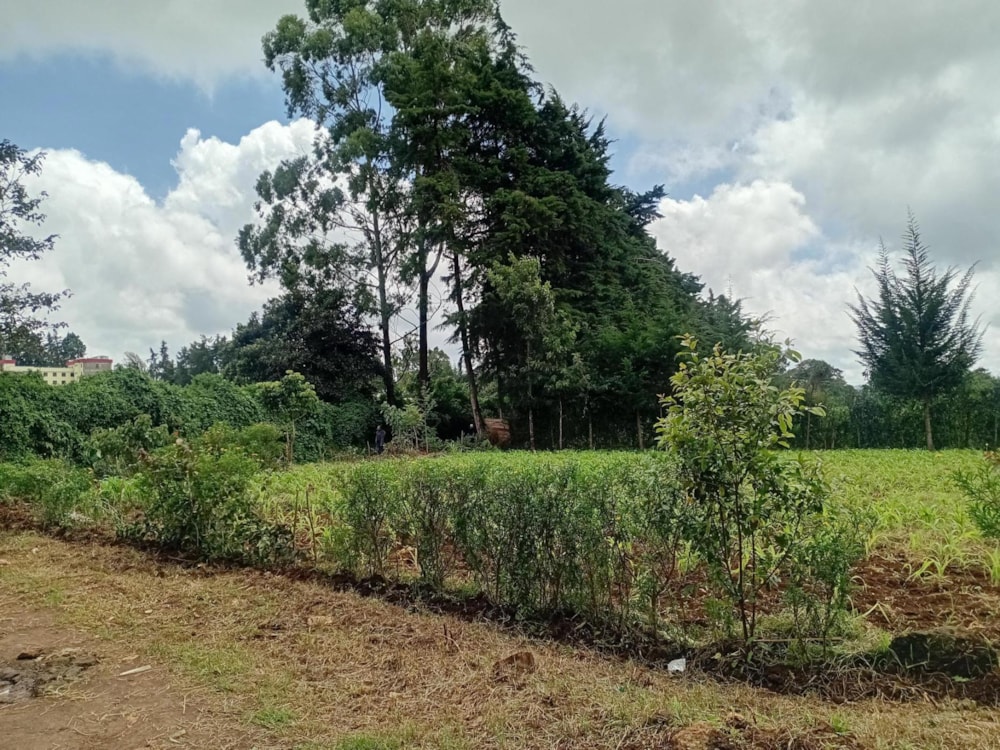 Vacant land sold in Nairobi, Kenya - 3KE1699231 Vacant land sold in Nairobi, Kenya - 3KE1699231