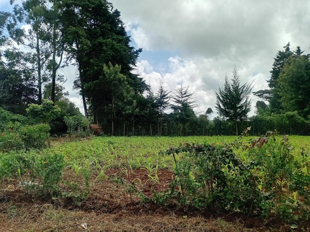 Vacant land sold in Nairobi, Kenya - 3KE1699231 Vacant land sold in Nairobi, Kenya - 3KE1699231