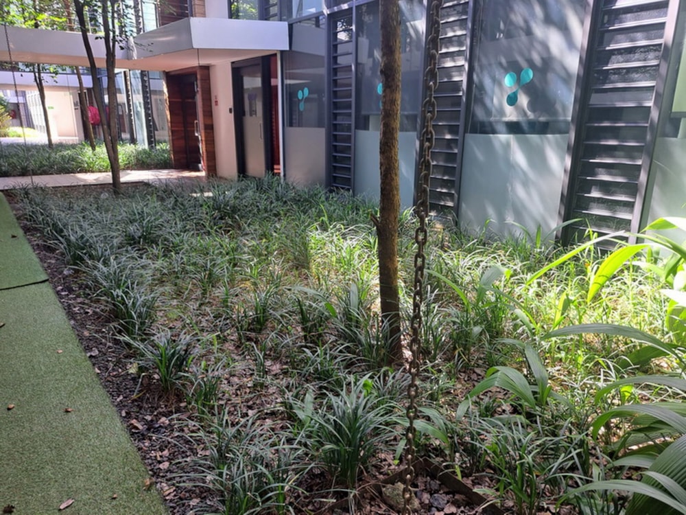 Commercial office to rent in Phoenix, Mauritius - MUR1699643 Commercial office to rent in Phoenix, Mauritius - MUR1699643