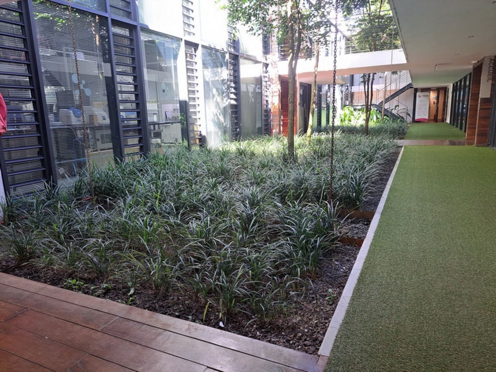 Commercial office to rent in Phoenix, Mauritius - MUR1699643 Commercial office to rent in Phoenix, Mauritius - MUR1699643