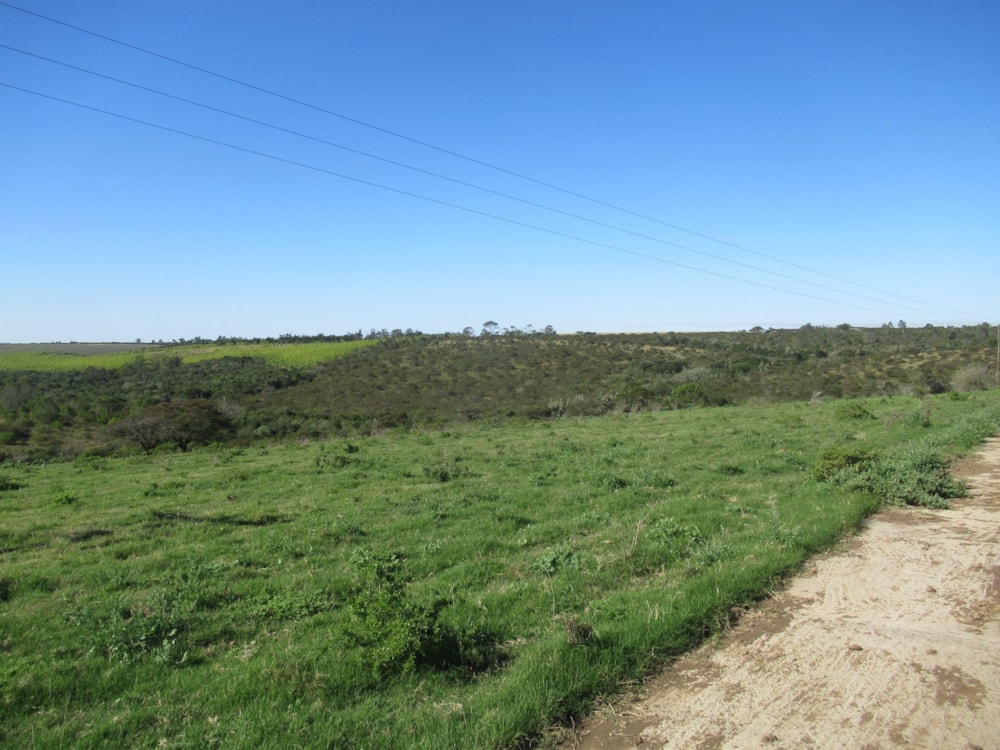 Equestrian farm for sale in Bathurst - 1GC1699769 Equestrian farm for sale in Bathurst - 1GC1699769