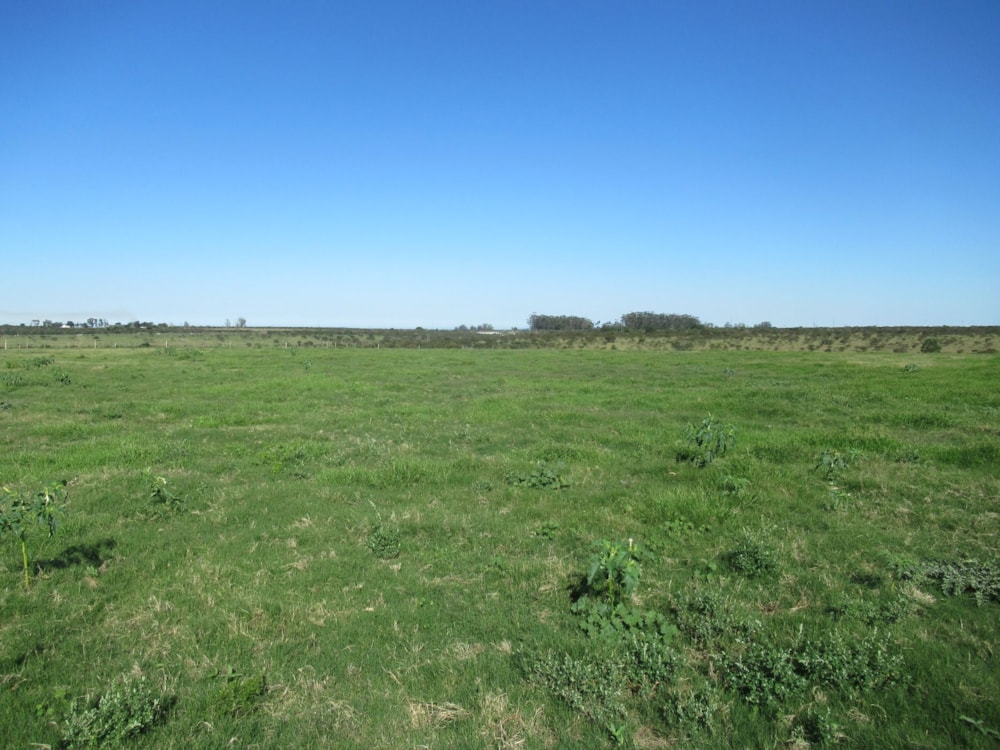 Equestrian farm for sale in Bathurst - 1GC1699769 Equestrian farm for sale in Bathurst - 1GC1699769