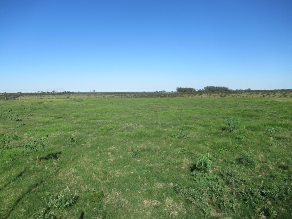 Equestrian farm for sale in Bathurst - 1GC1699769 Equestrian farm for sale in Bathurst - 1GC1699769