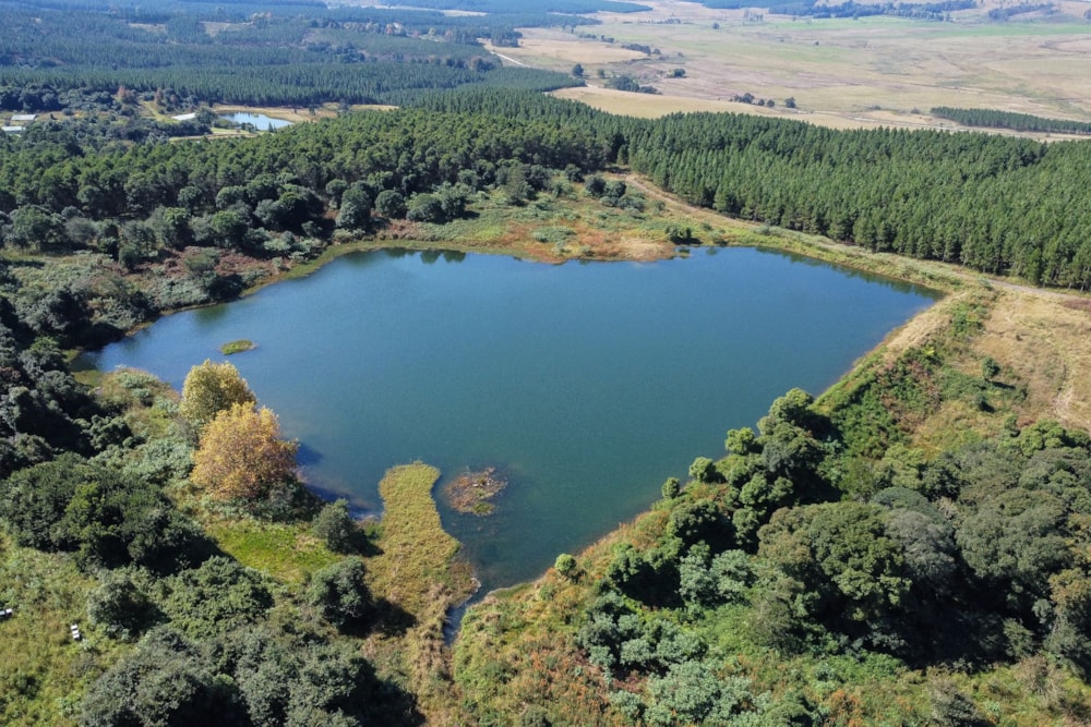 Plantation for sale in Howick Rural - 1PM1699804