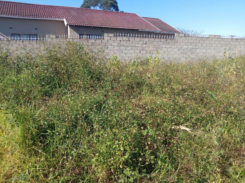 Vacant land for sale in Mbuqu - 1MH1700069 Vacant land for sale in Mbuqu - 1MH1700069