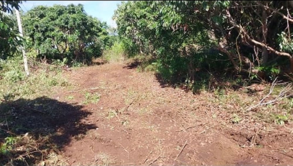Vacant land for sale in Grand Gaube, Mauritius - MPR1699999