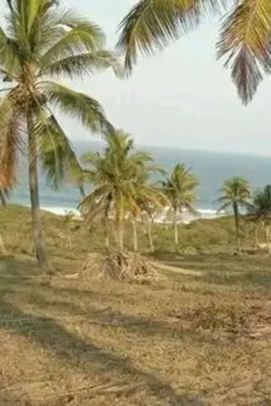 Vacant land for investment in Massinga, Mozambique - 3MQ1700181