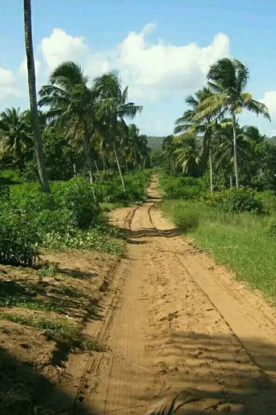 Vacant land for investment in Massinga, Mozambique - 3MQ1700181