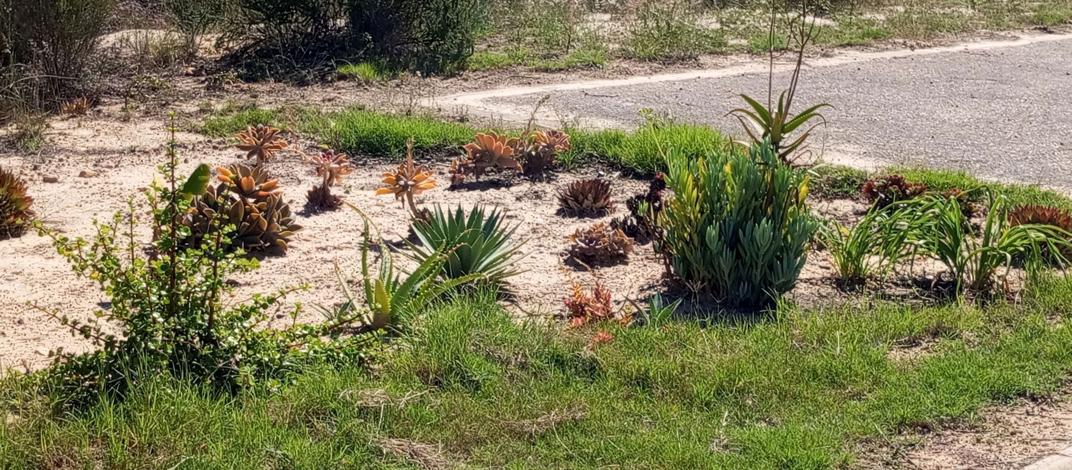 Vacant land for sale in Albertinia - 1SR1700278