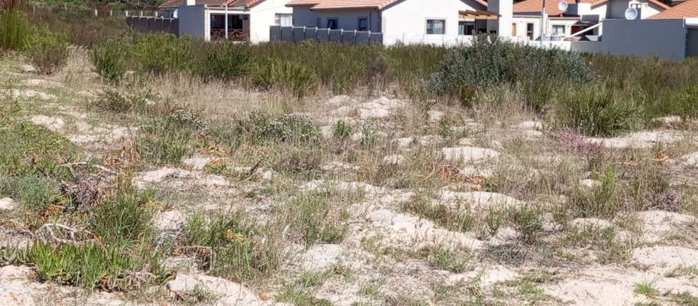 Vacant land for sale in Albertinia - 1SR1700278