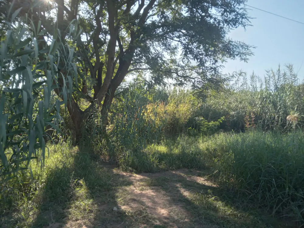 Vacant land for sale in Modimolle (Nylstroom) - 1MDM1700504