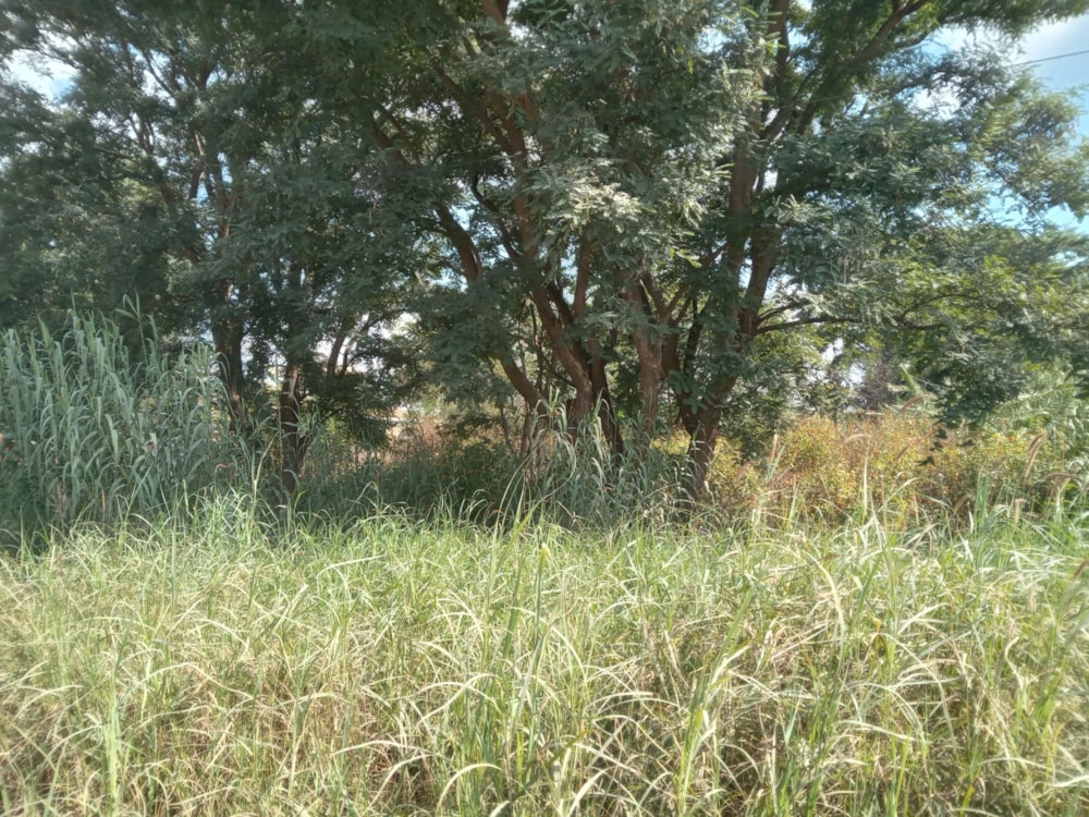 Vacant land for sale in Modimolle (Nylstroom) - 1MDM1700504