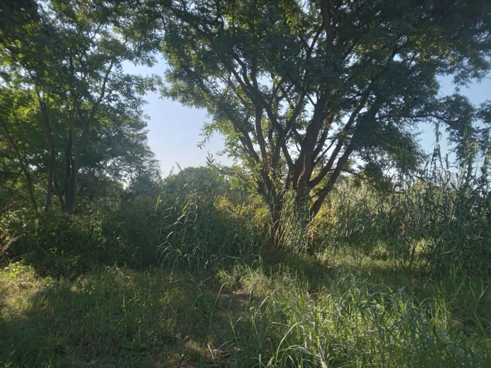 Vacant land for sale in Modimolle (Nylstroom) - 1MDM1700504