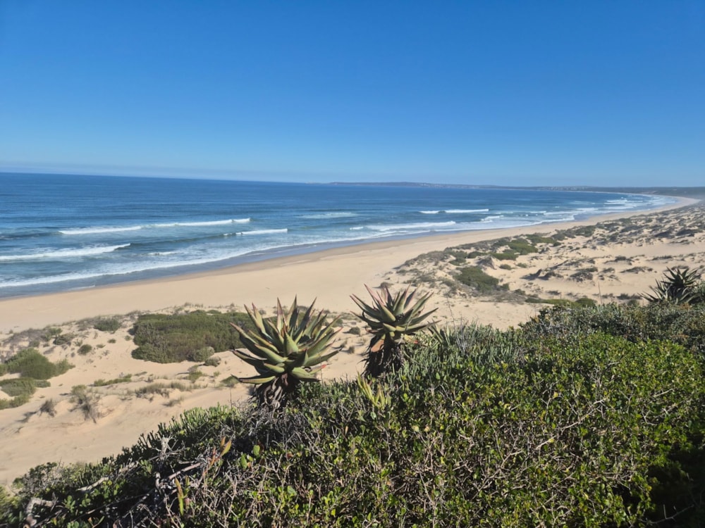 Vacant land for sale in Mossel Bay - 1SR1701627 Vacant land for sale in Mossel Bay - 1SR1701627