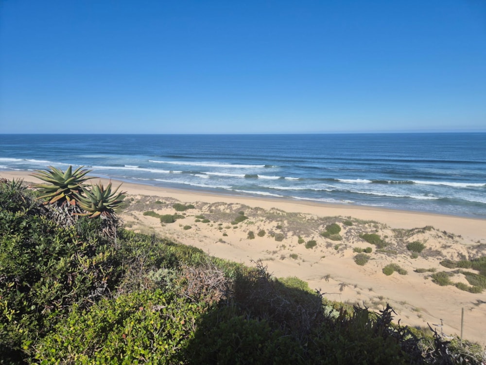 Vacant land for sale in Mossel Bay - 1SR1701627 Vacant land for sale in Mossel Bay - 1SR1701627