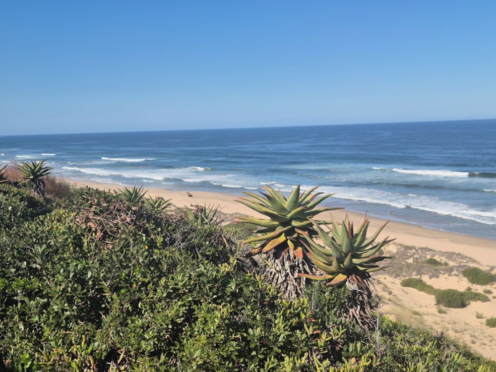 Vacant land for sale in Mossel Bay - 1SR1701627 Vacant land for sale in Mossel Bay - 1SR1701627