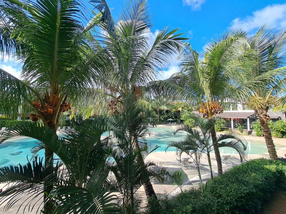 Apartment let in Mon Choisy, Mauritius - MPR1700480 Apartment let in Mon Choisy, Mauritius - MPR1700480