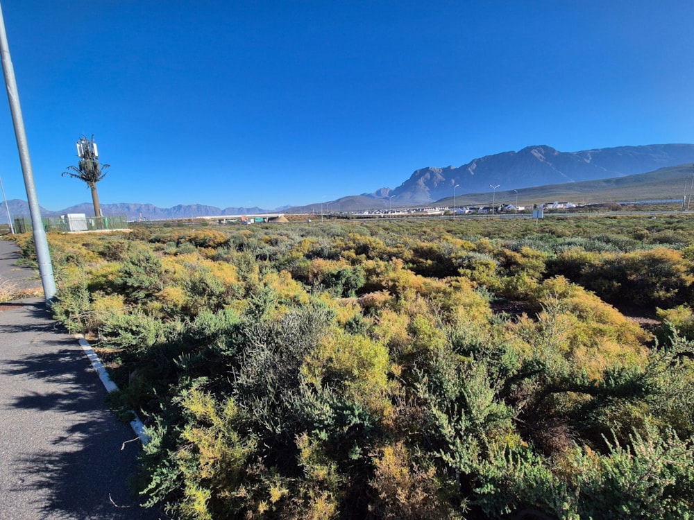 Commercial vacant land for sale in Worcester - TK1700546