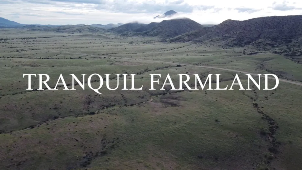 Game farm for sale in Usakos, Namibia - 3NM1700544 Game farm for sale in Usakos, Namibia - 3NM1700544