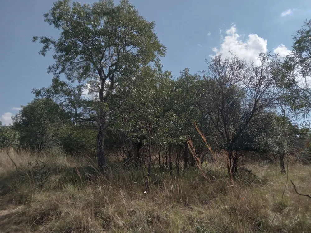 Vacant land for sale in Koro Creek Golf Estate - 1MDM1700613