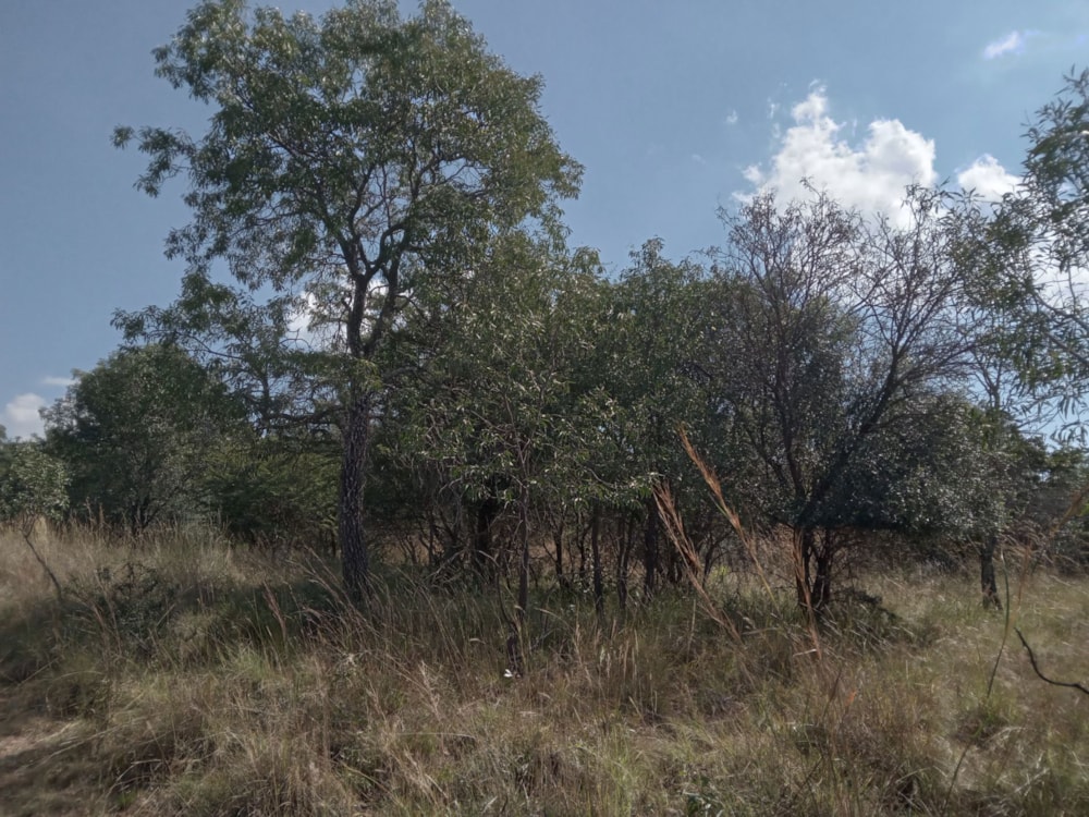 Vacant land for sale in Koro Creek Golf Estate - 1MDM1700613 Vacant land for sale in Koro Creek Golf Estate - 1MDM1700613