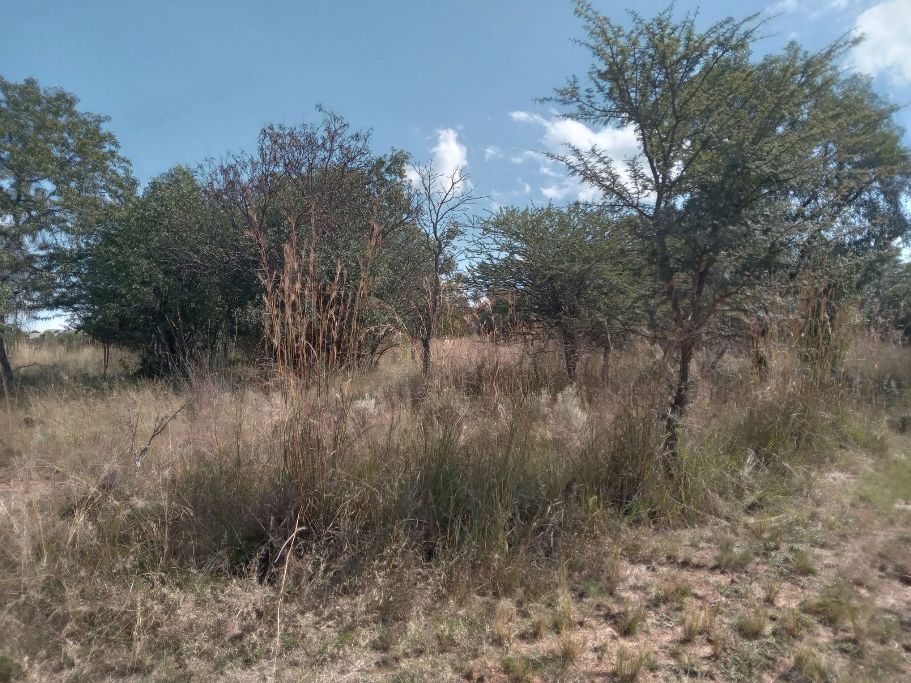 Vacant land for sale in Koro Creek Golf Estate - 1MDM1700613