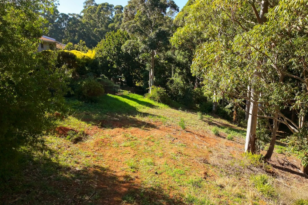 Residential vacant land for sale in Golden Hill - SW1701031