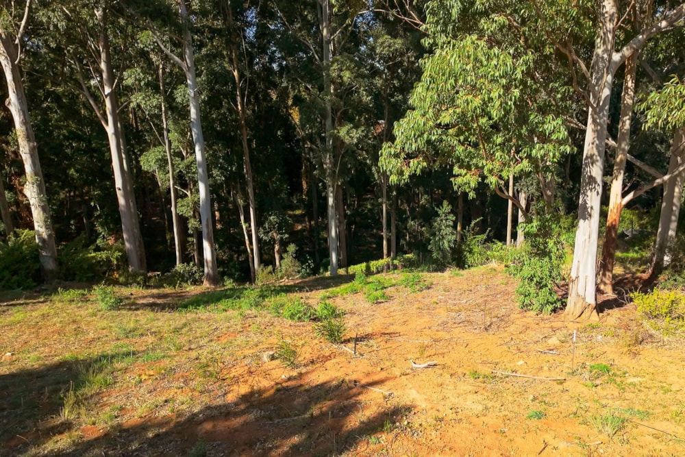 Residential vacant land for sale in Golden Hill - SW1701031