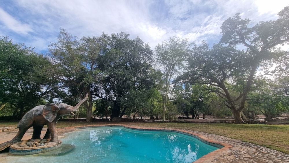 Game farm for sale in Ndlovumzi Nature Reserve - 1HS1701579