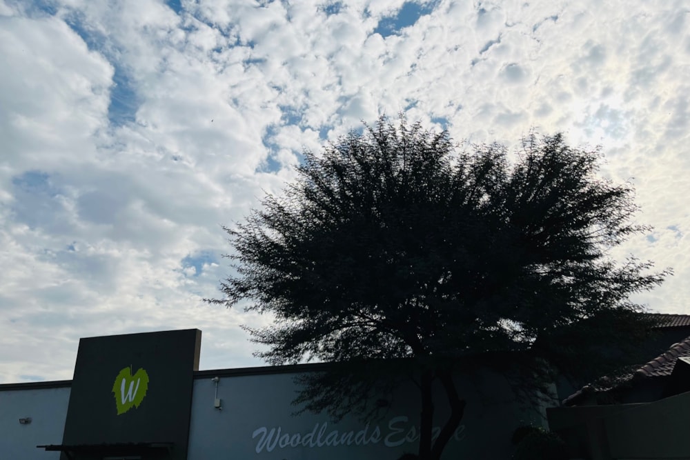 House for sale in Tasbet Park - 1WD1701063