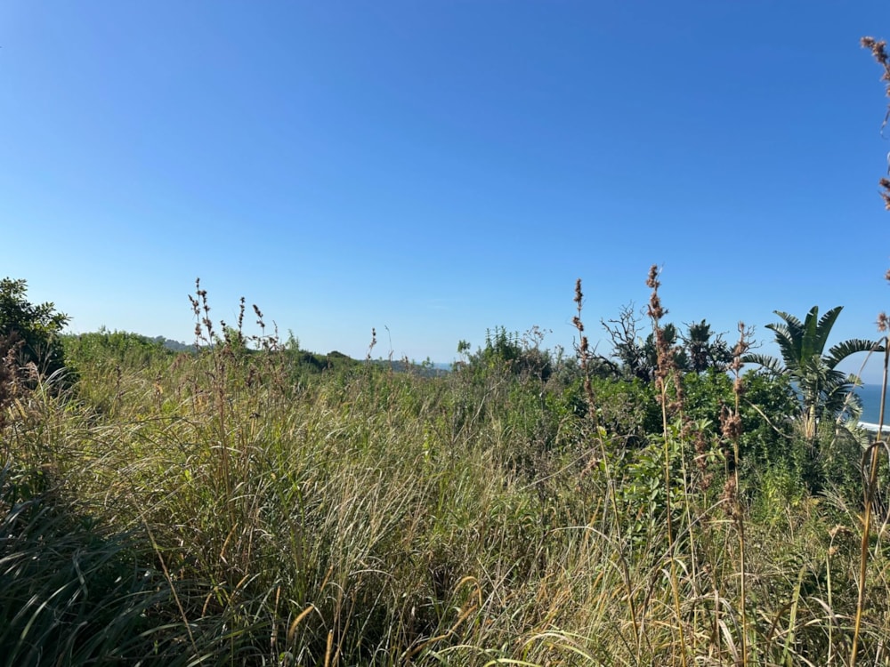 Residential vacant land for sale in Leisure Bay - 1PD1701119 Residential vacant land for sale in Leisure Bay - 1PD1701119