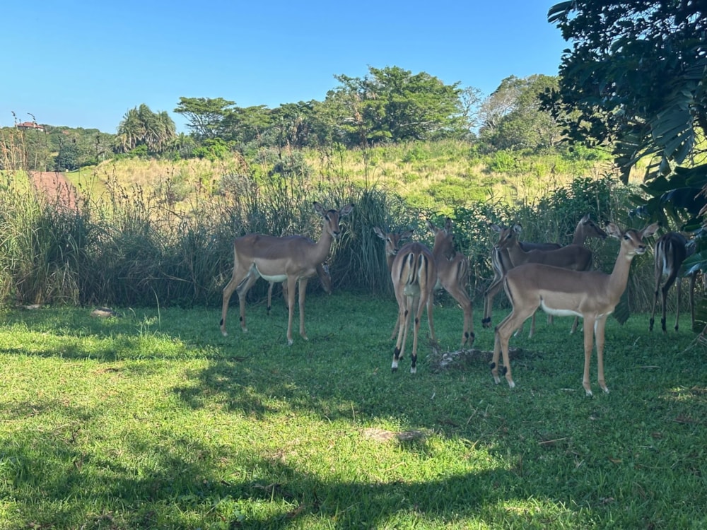 Residential vacant land for sale in Leisure Bay - 1PD1701122 Residential vacant land for sale in Leisure Bay - 1PD1701122