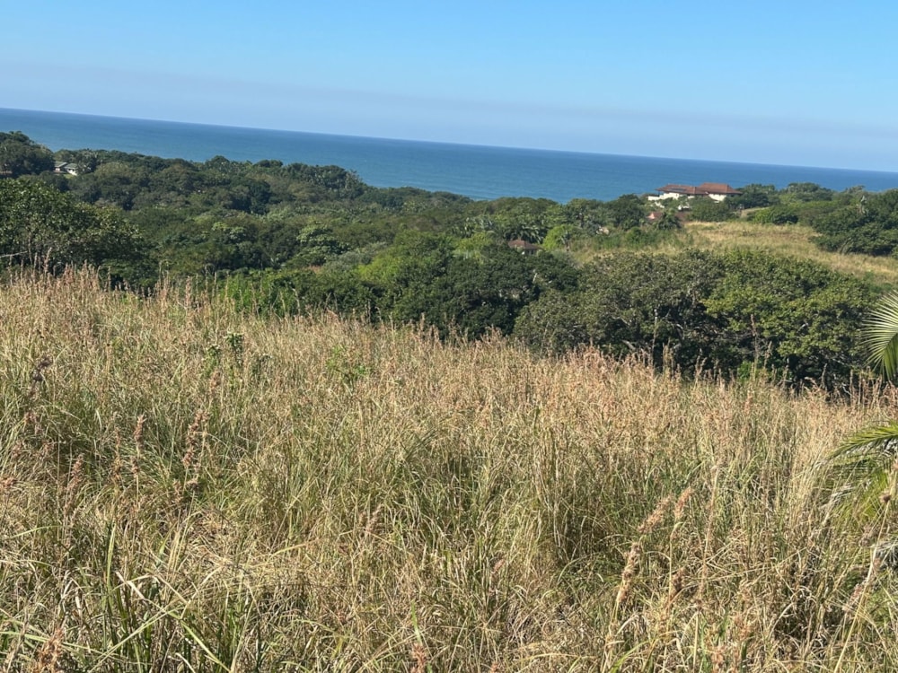 Residential vacant land for sale in Leisure Bay - 1PD1701122 Residential vacant land for sale in Leisure Bay - 1PD1701122
