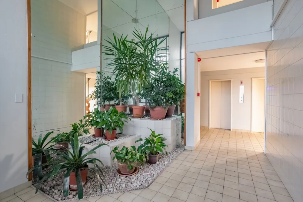 Apartment for sale in Morningside, Durban - 1DA1701312