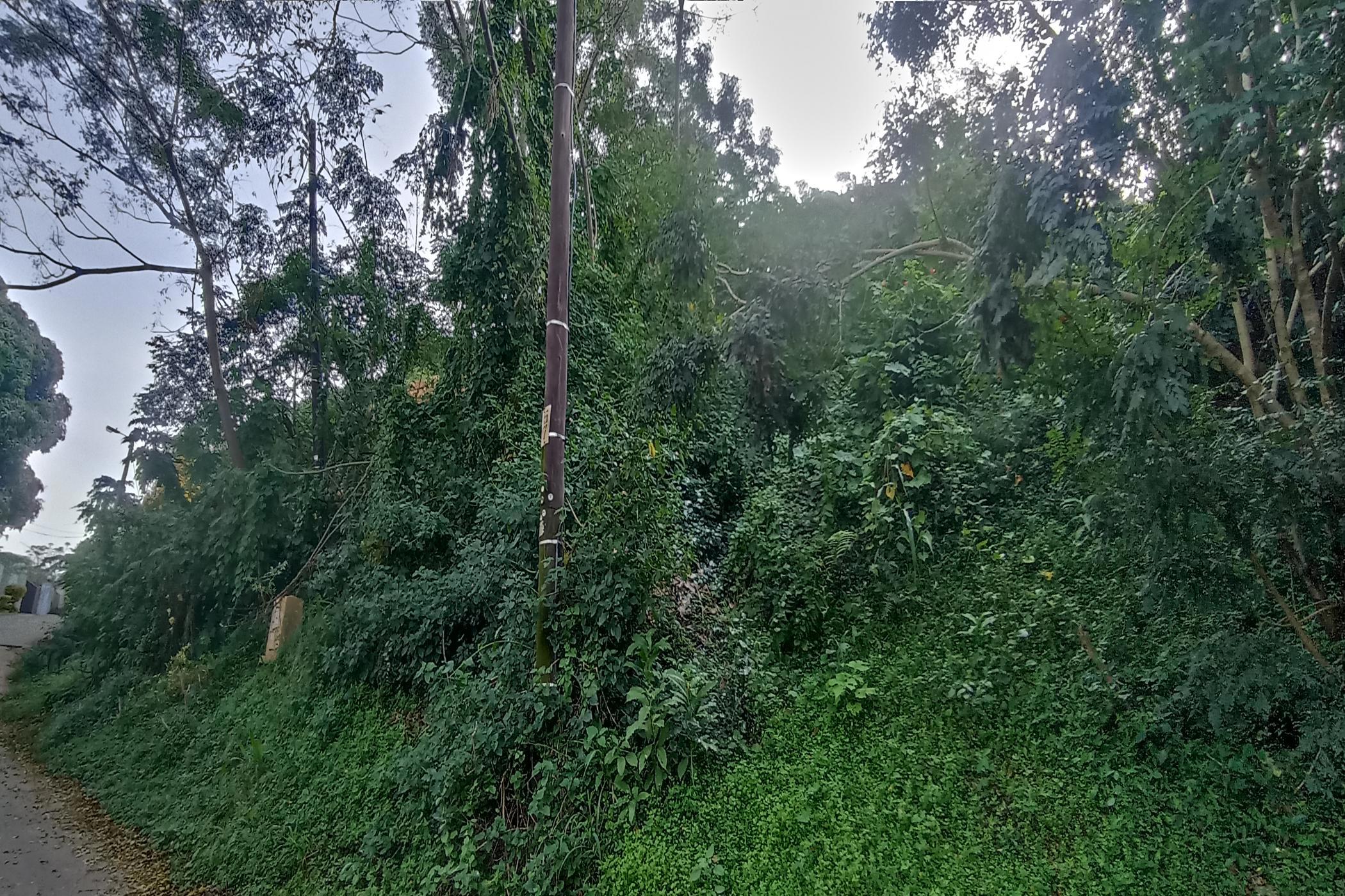 Vacant land for sale in Westville - 1WP1701401