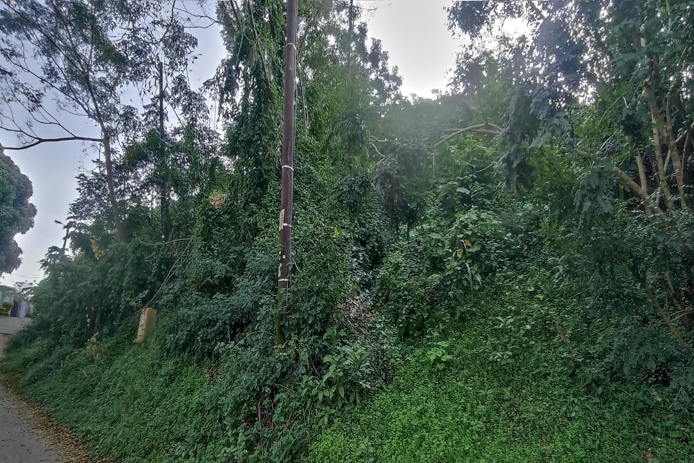 Vacant land for sale in Westville - 1WP1701401 Vacant land for sale in Westville - 1WP1701401