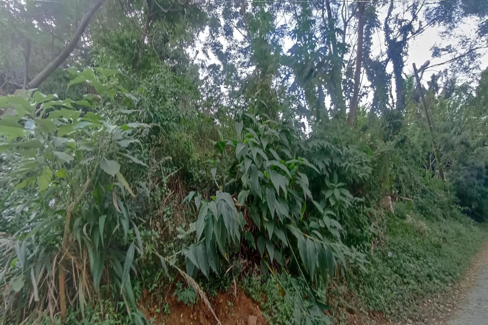 Vacant land for sale in Westville - 1WP1701401 Vacant land for sale in Westville - 1WP1701401