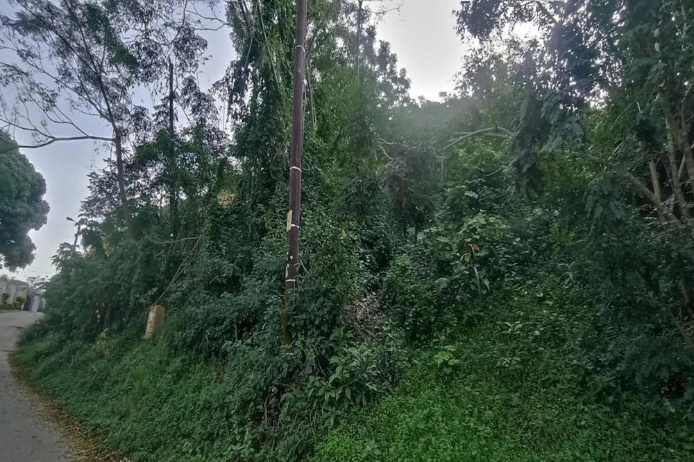 Vacant land for sale in Westville - 1WP1701401 Vacant land for sale in Westville - 1WP1701401