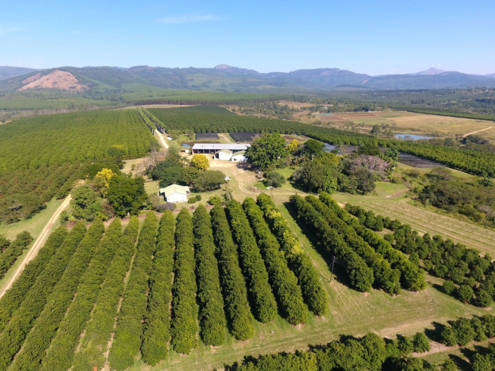 Nut farm for sale in Barberton Rural - 1NK1701772