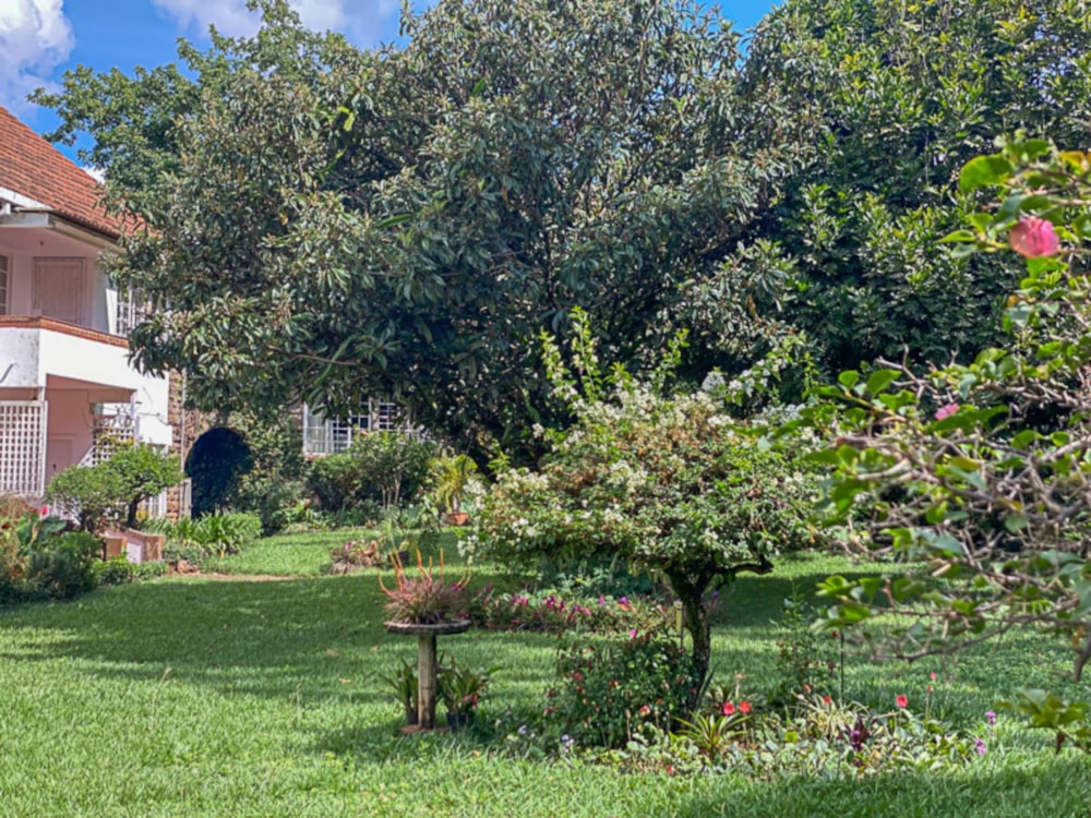 Cottage let in Muthaiga, Kenya - 3KE1701897 Cottage let in Muthaiga, Kenya - 3KE1701897