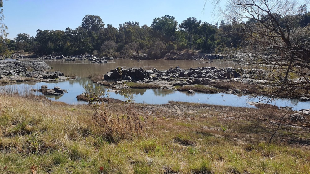 Smallholding sold in Deneysville - 1VT1702011 Smallholding sold in Deneysville - 1VT1702011