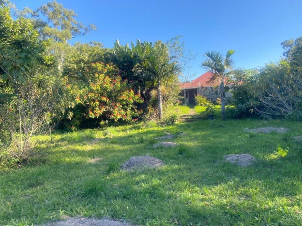 Farm vacant land for sale in Ngqeleni - 1MH1702067 Farm vacant land for sale in Ngqeleni - 1MH1702067