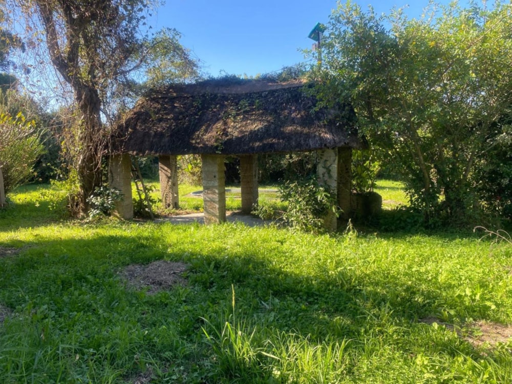 Farm vacant land for sale in Ngqeleni - 1MH1702067 Farm vacant land for sale in Ngqeleni - 1MH1702067