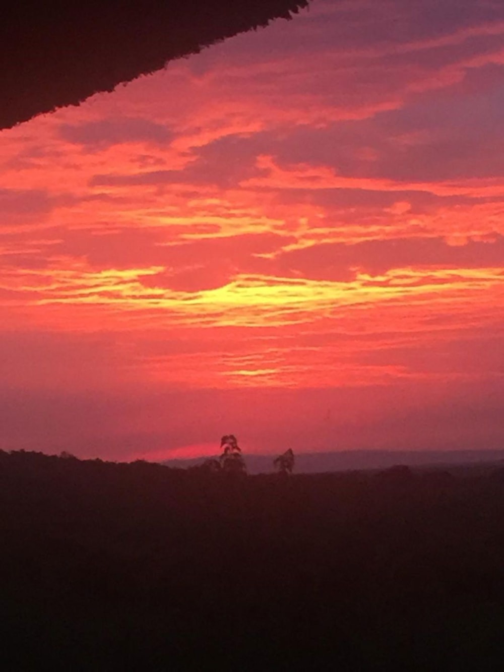 House for sale in Bela Bela - 1MDM1702099