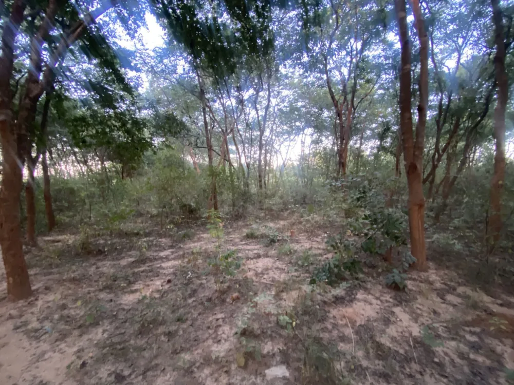 Vacant land for sale in Chudleigh, Zambia - 3ZA1702294
